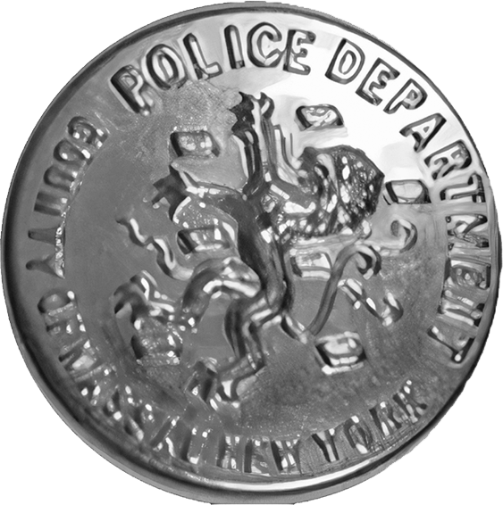 Nassau County NY Button Silver